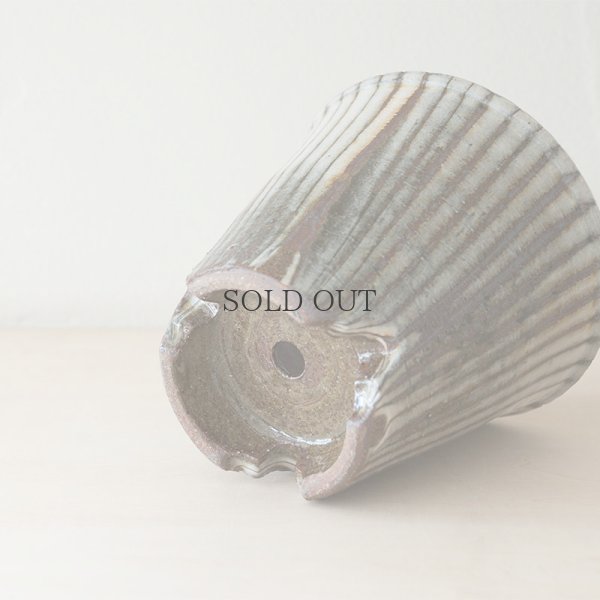 画像12: 【井上尚之】植木鉢 中