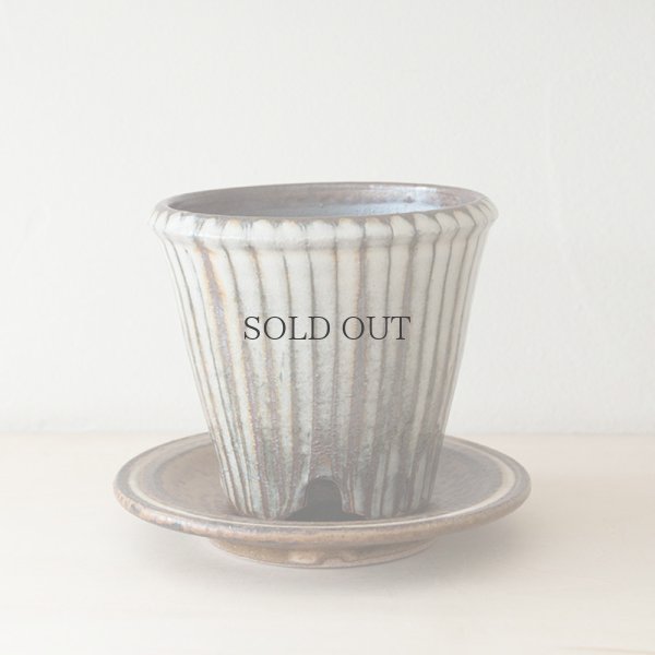 画像4: 【井上尚之】植木鉢 中