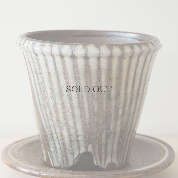 画像6: 【井上尚之】植木鉢 中