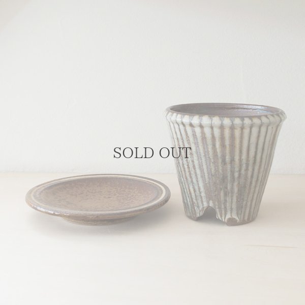 画像7: 【井上尚之】植木鉢 中