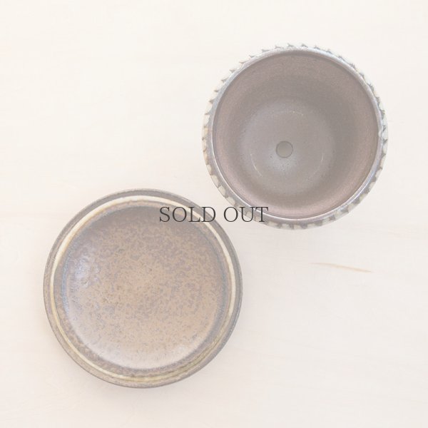 画像9: 【井上尚之】植木鉢 中