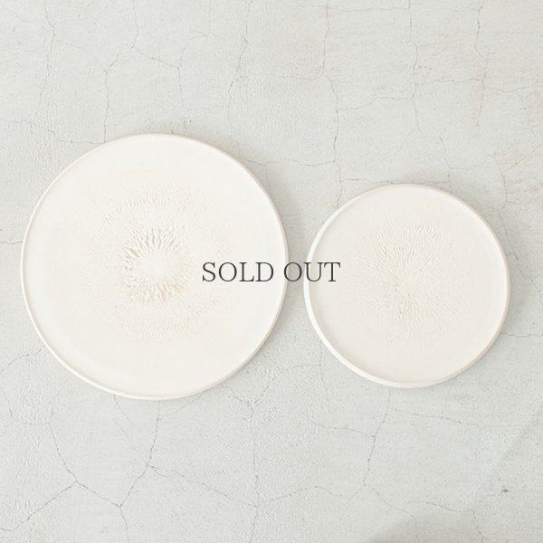 左：8寸　右：6寸